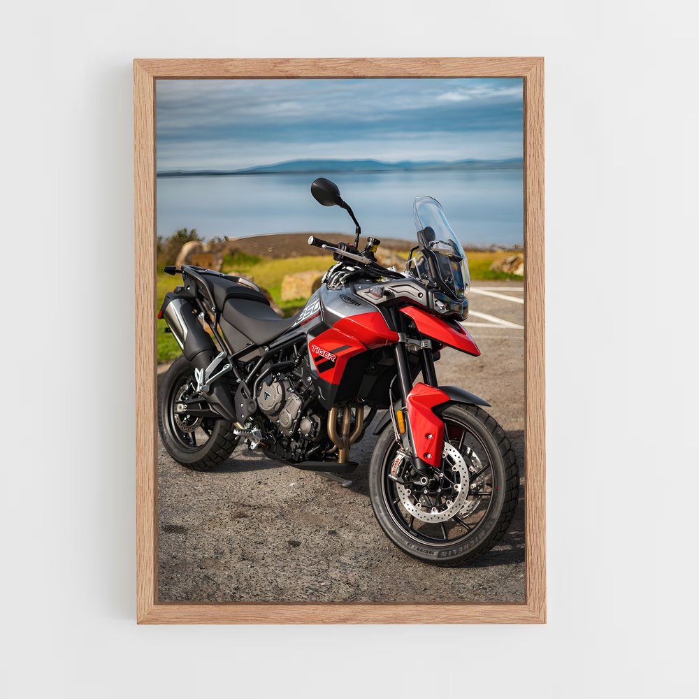 Poster Route du Tigre – affiche Triumph (vue 4)
